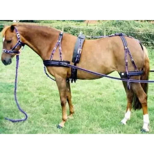 Libbys Ultimate Driving Harness Navy/Red Mini 