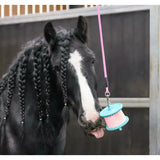 Pink and teal likit boredom breaker relief refill toy spool hanging from pink leash for horse enrichment 625g