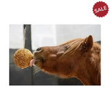 Likit Granola Stall Ball Apple Horse Treats
