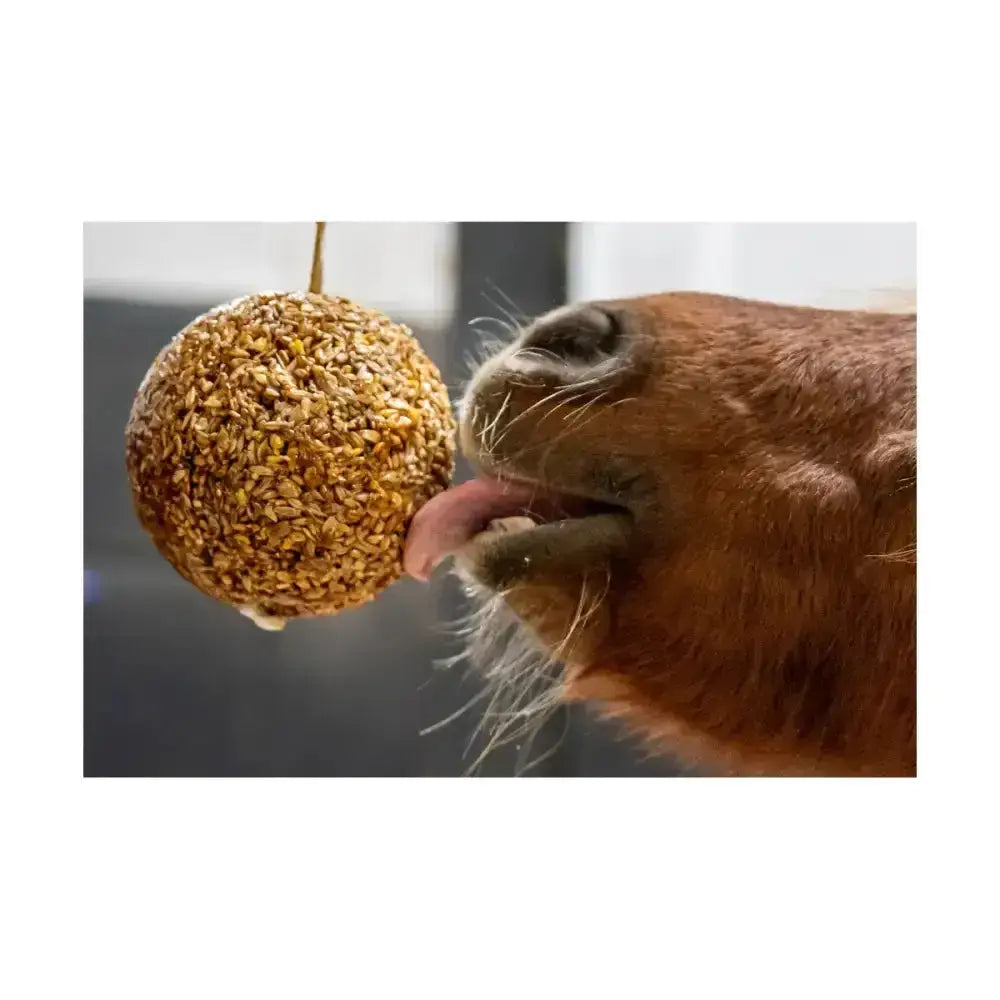 A round golden-brown likit granola stall ball made of textured grains to keep horses entertained whilst feeding