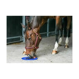 Blue circular horse water bowl from likit graze maze slow feeding lick designed for tasty likit graze enjoyment