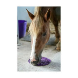 A purple likit graze maze slow feeding lick hoof pad with intricate patterns and textured surface for tasty likit graze