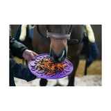 Purple plastic likit graze maze slow feeding lick dish with perforated edges and raised ridges for tasty likit graze