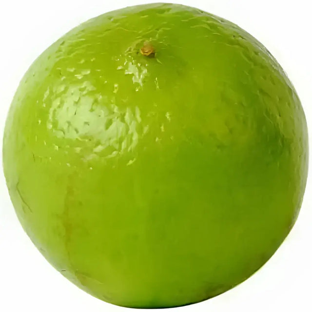 A vibrant green lime with glossy textured skin and a small stem perfect for equestrian snack breaks or credit card purchases