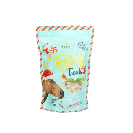 A light blue resealable bag of lincoln christmas treats mince pie flavour for dogs with festive candy cane and elf design near a horse head