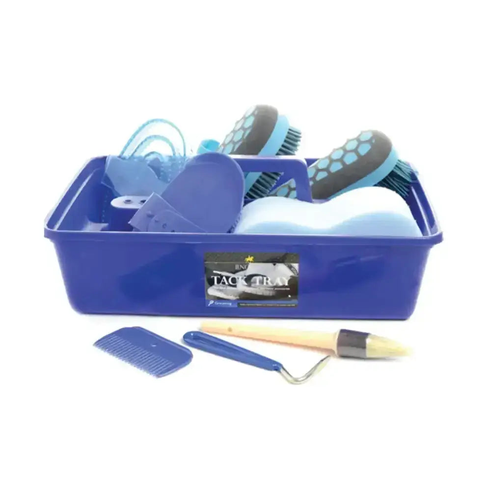 Blue plastic tack tray with assorted horse grooming tools from the lincoln complete grooming kit for easy grooming
