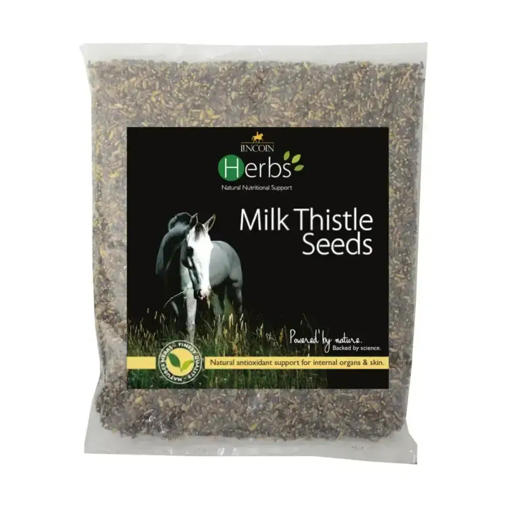 A clear plastic bag of dark gray and brown dried silybum marianum milk thistle seeds from lincoln herbs 50 day supply