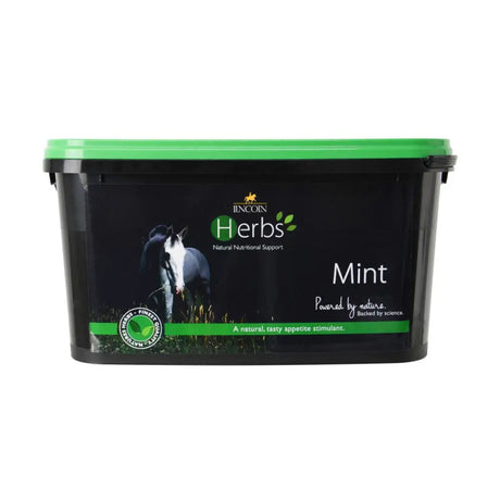 Black plastic tub with green lid labeled lincoln herbs mint natural horse vitamins with pure spearmint for nutrition