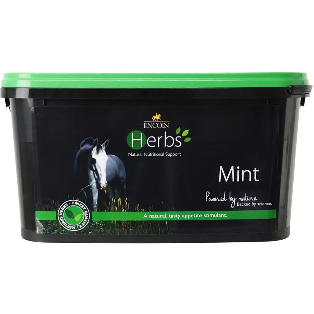 Black plastic tub with bright green lid and lincoln herbs mint label for pure spearmint disguise medications refill pouch