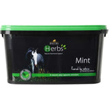 Black plastic tub with bright green lid and lincoln herbs mint label for pure spearmint disguise medications refill pouch