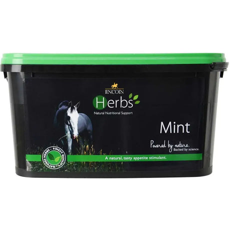 Black plastic tub with bright green lid and lincoln herbs mint label for pure spearmint disguise medications refill pouch