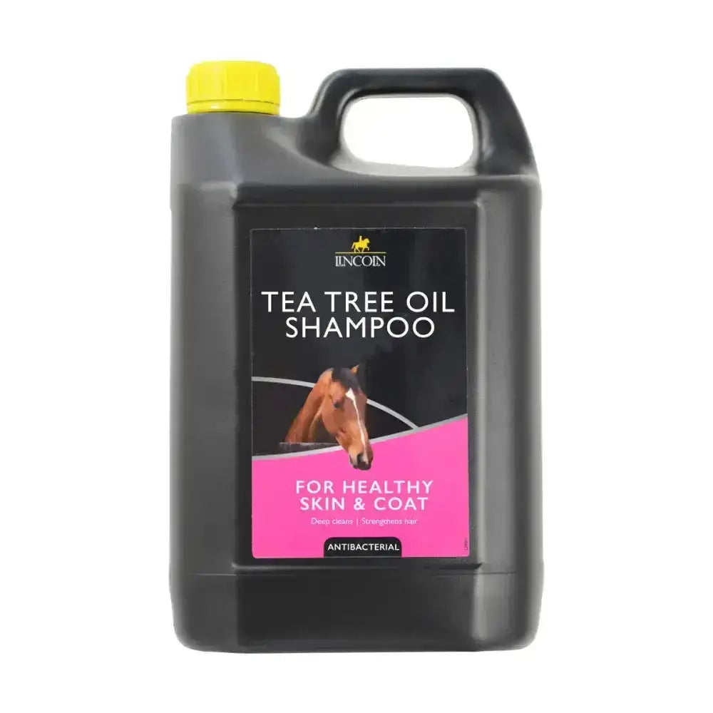 Black plastic jug with yellow cap labeled lincoln tea tree oil shampoo for healthy skin and deep cleansing hair care