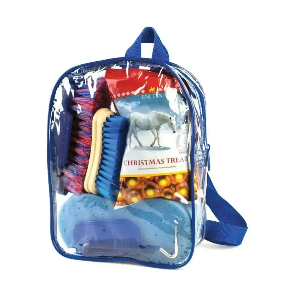 Blue transparent lincoln treat bag showing horse grooming combs and christmas horse bix inside