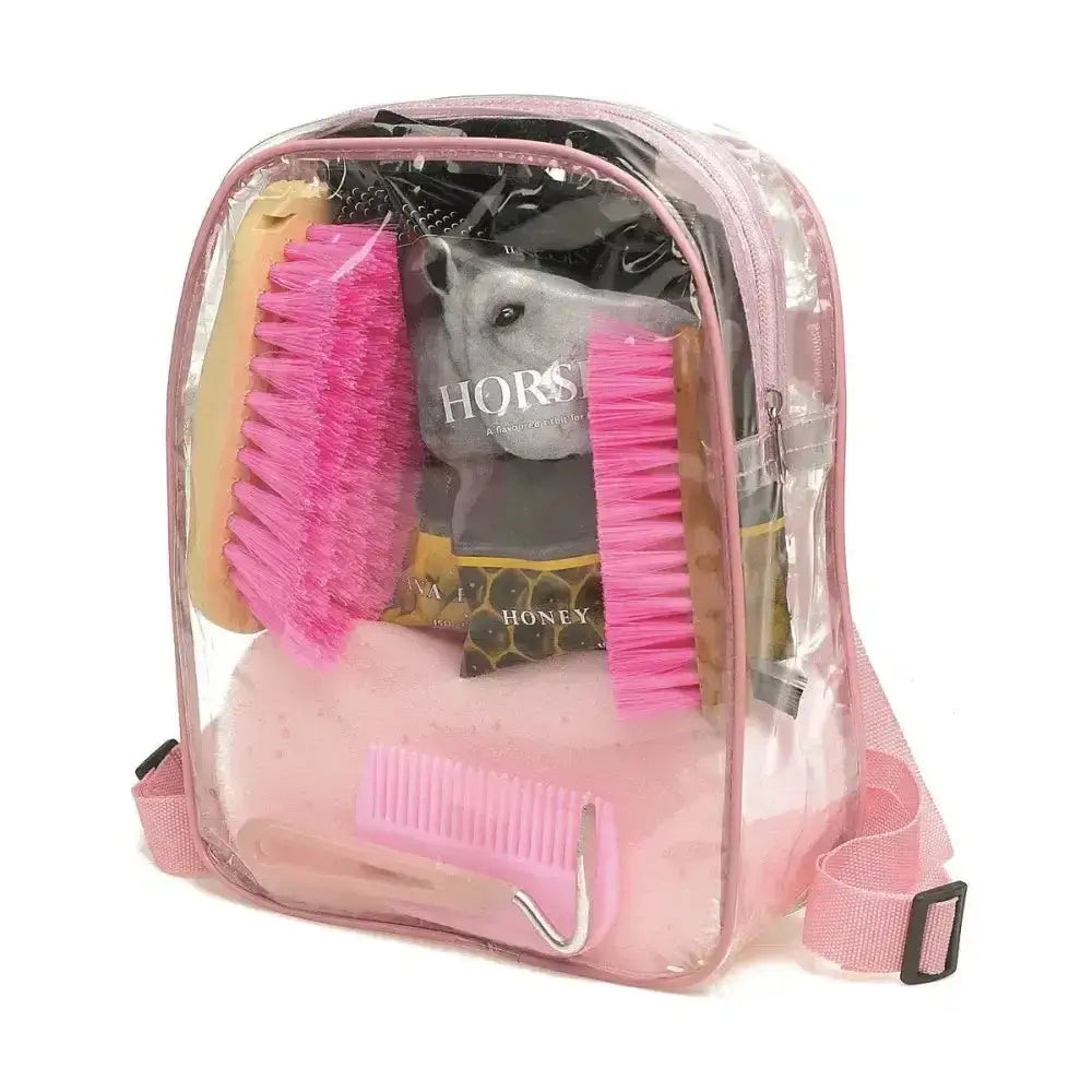 Pink transparent lincoln treat bag with pink straps holding horse grooming combs and brushes for christmas horse bix