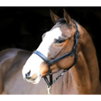 Liveryman Clipping Headcollar Black Leather Headcollars