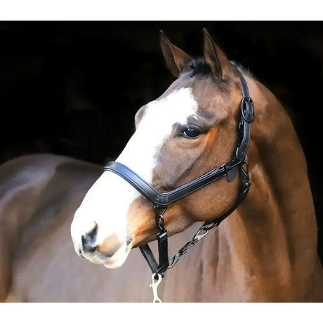 Liveryman Clipping Headcollar Black Leather Headcollars