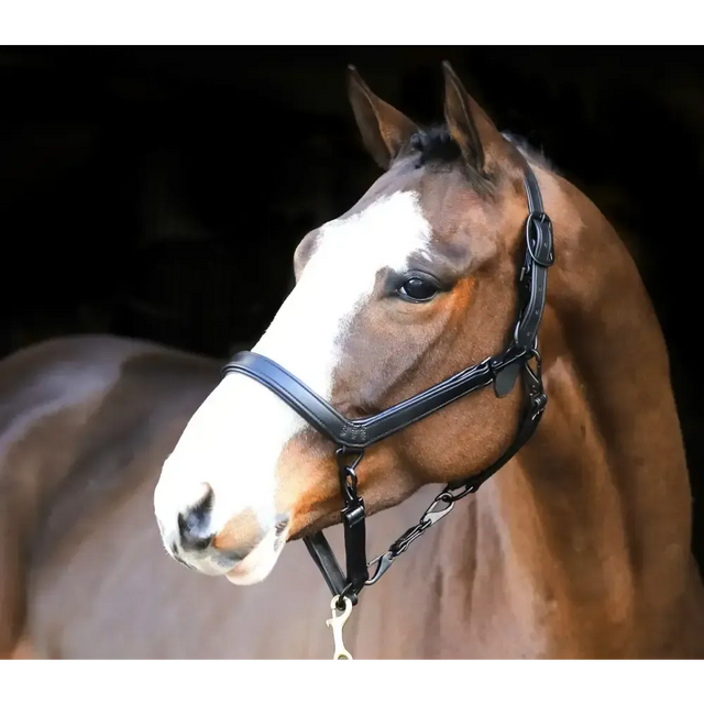 Liveryman Clipping Headcollar Black Leather Headcollars