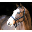 Black leather liveryman clipping headcollar with silver hardware designed for easy clipping and grooming