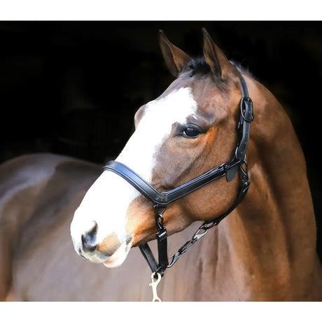 Black leather liveryman clipping headcollar with silver hardware designed for easy clipping and grooming