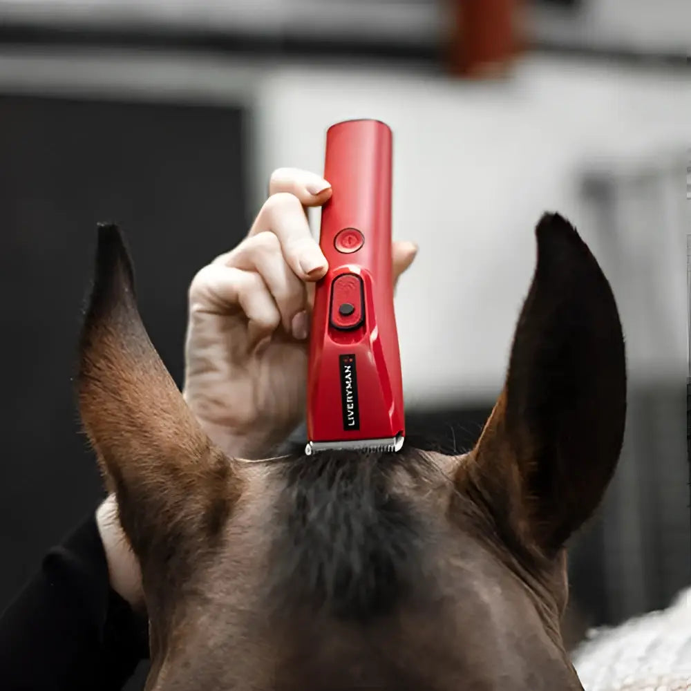 Hand holding red liveryman nova trimmer electric clipper above the back of a brown horse’s head
