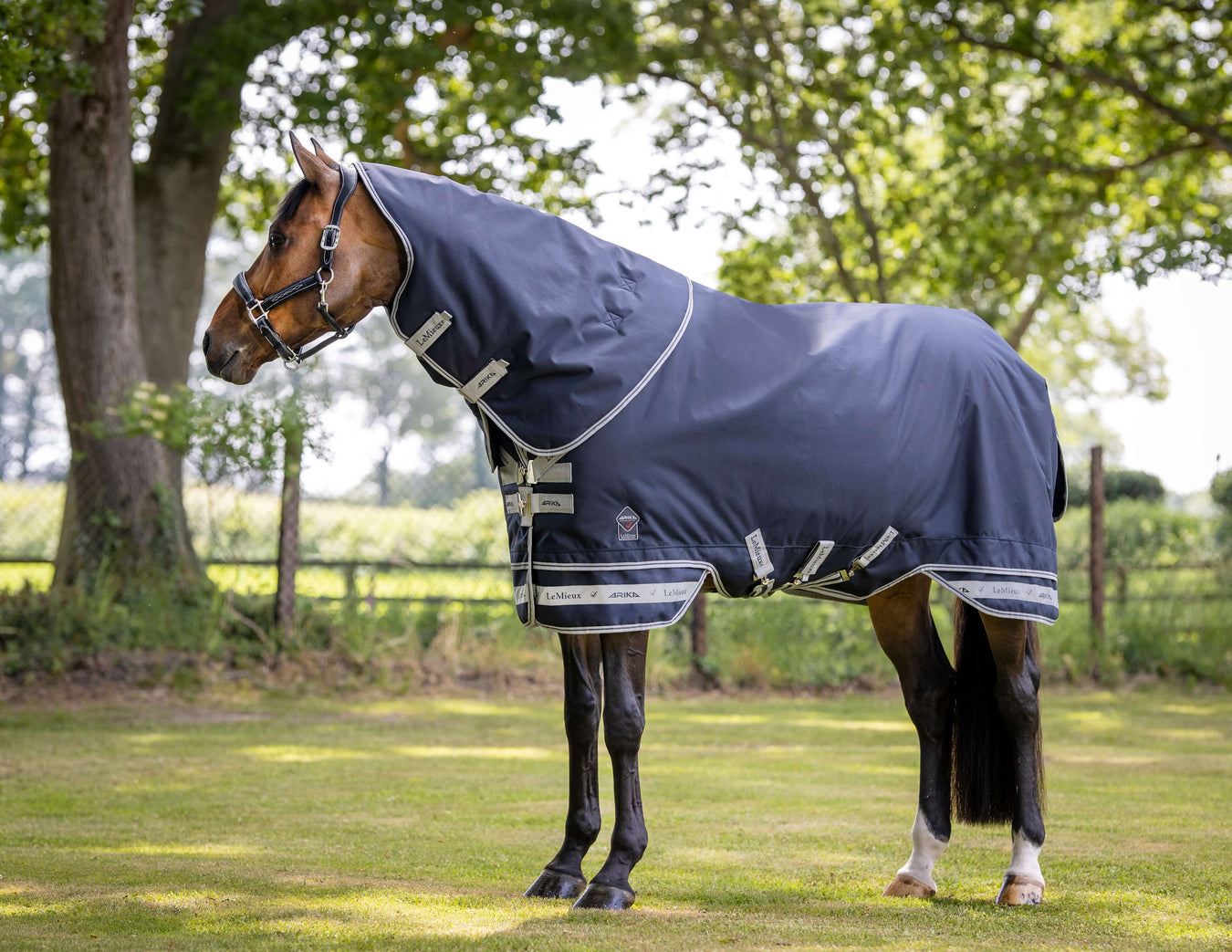 LeMieux Horse Rugs Latest Colour Collections In Store at Barnstaple Equestrian Supplies.