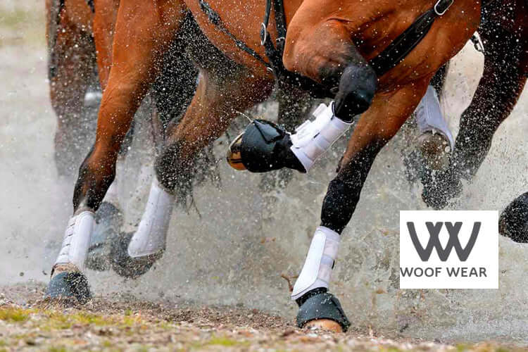 Horsewear range of brushing Boots, Tendon Boots, Fetlock Boots, Exercise Wraps from LeMieux, Rhinegold, Weatherbeeta, Woof Wear