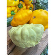 A pale green local pattypan squash with a bumpy, slightly waxy texture sits in the foreground