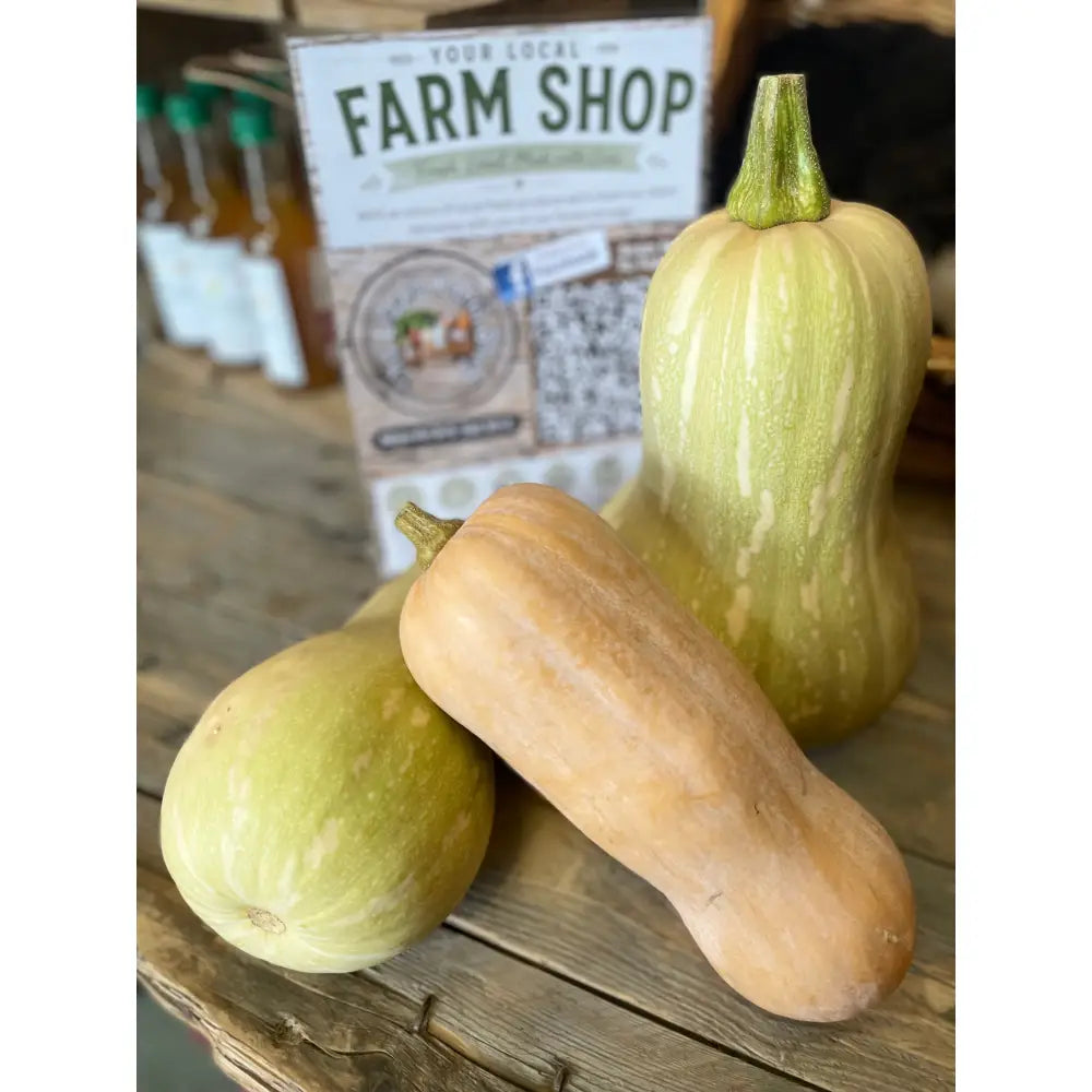 Three locally grown butternut squash with pale green and beige skin resting on a rustic wooden surface