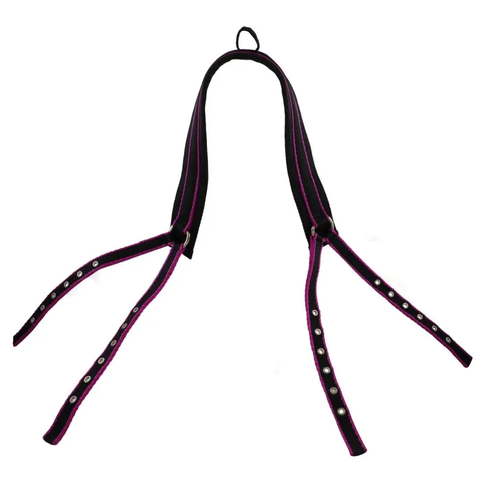 Black and purple loin strap with silver studs featuring eyeleted webbing straps for libby’s girth web driving harness parts