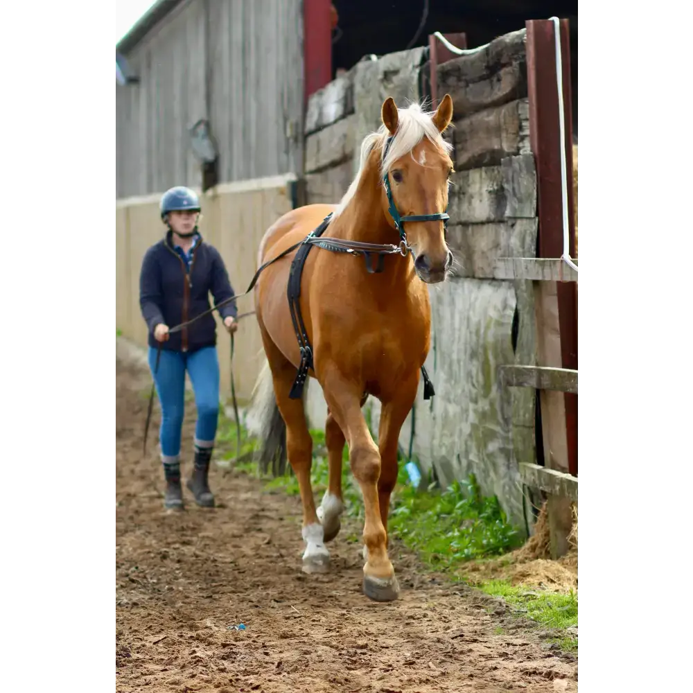 Long Reins 3m 