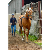 Long Reins 3m 