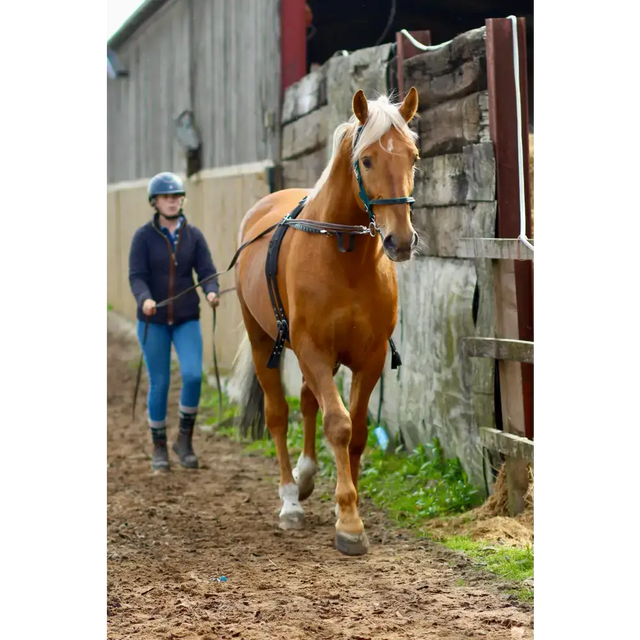 Long Reins 3m 