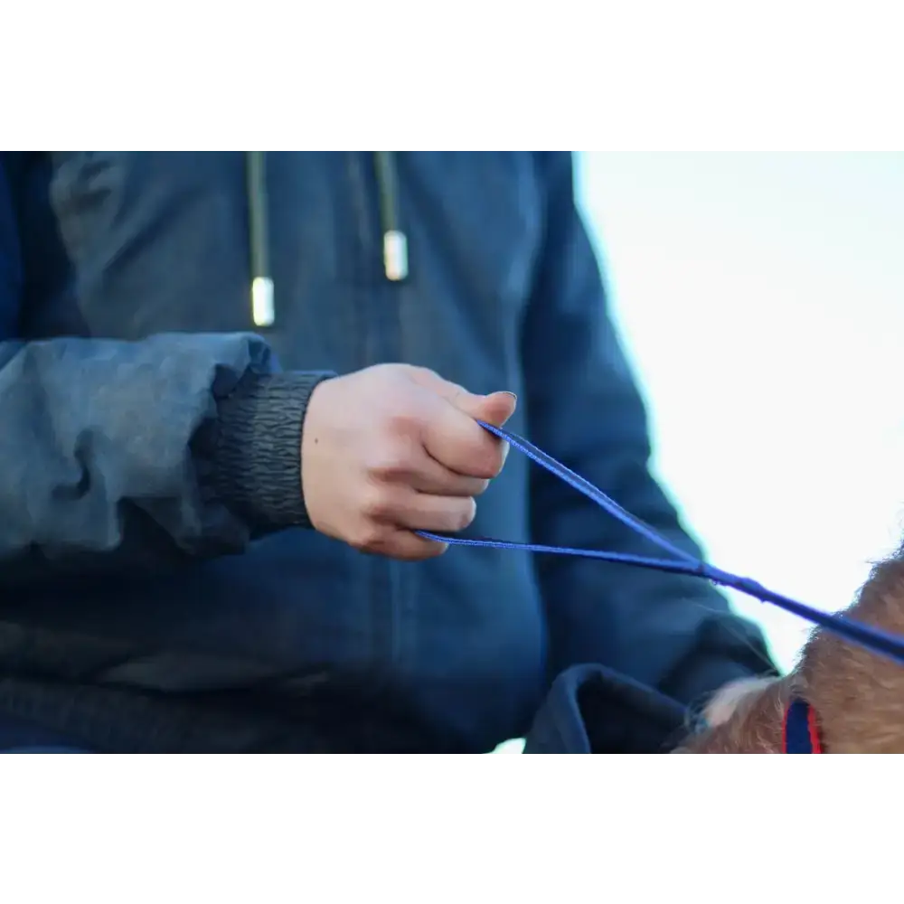 Loop Handled Reins (R.D.A) Black 