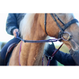 Loop Handled Reins (R.D.A) Black 
