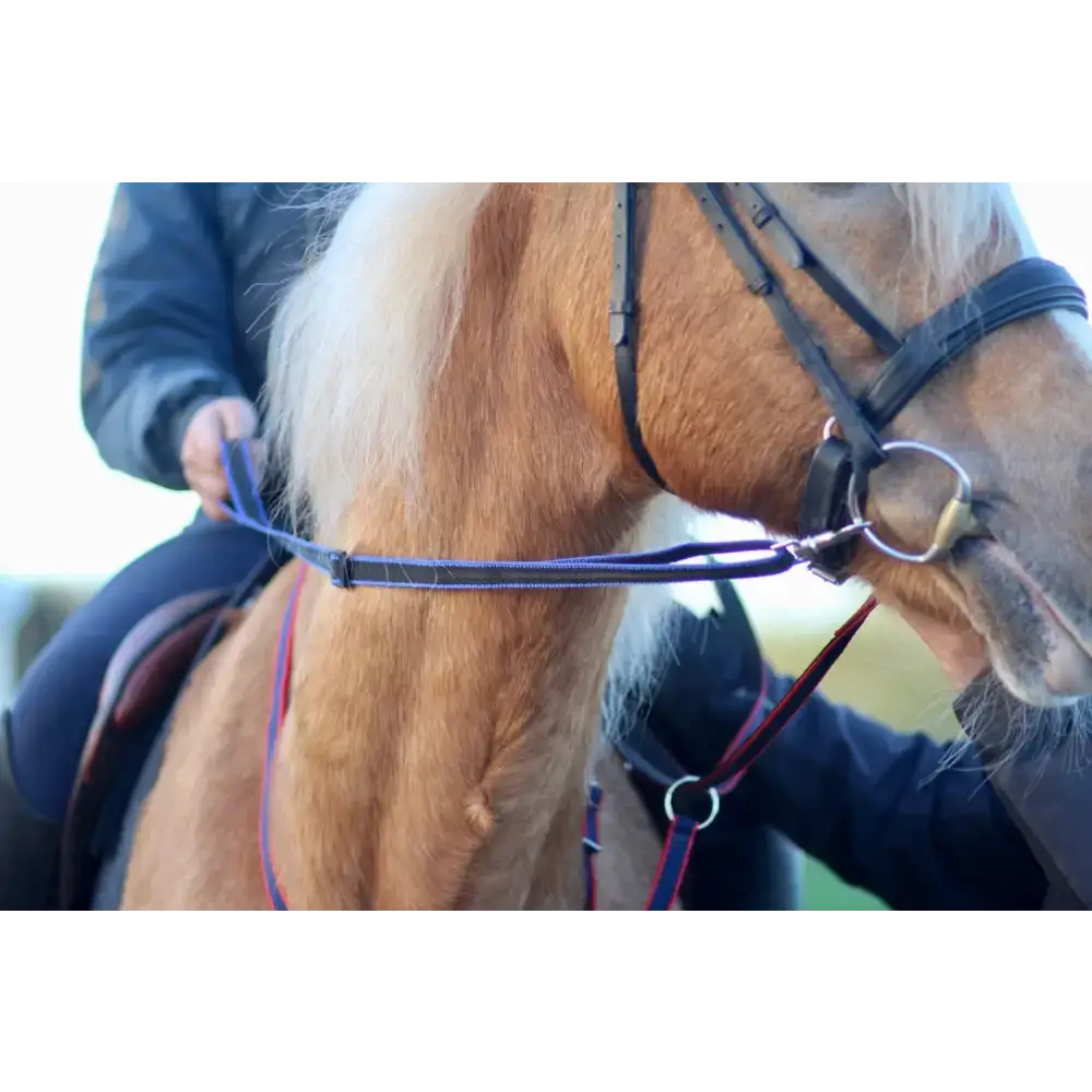 Loop Handled Reins (R.D.A) Black 