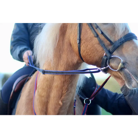 Loop Handled Reins (R.D.A) Black 