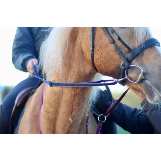 Loop Handled Reins (R.D.A) Black 