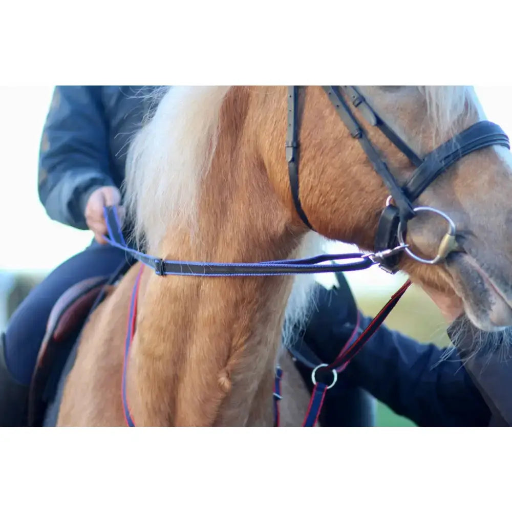 Black leather horse bridle with silver hardware and purple reins strap featuring libbys loop handled reins design