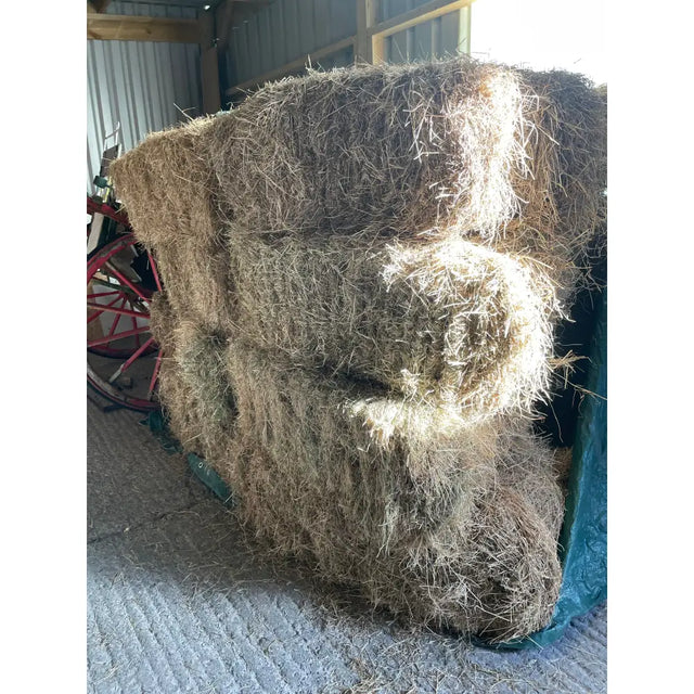 Stack of tightly bound loose bales of golden-brown hay made from natural straw fibers for equestrian horses