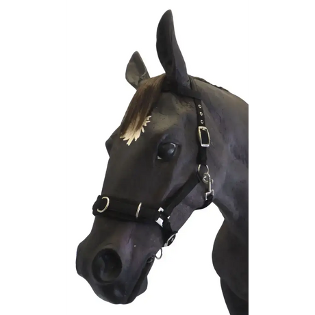Lunge Cavesson Miniature 