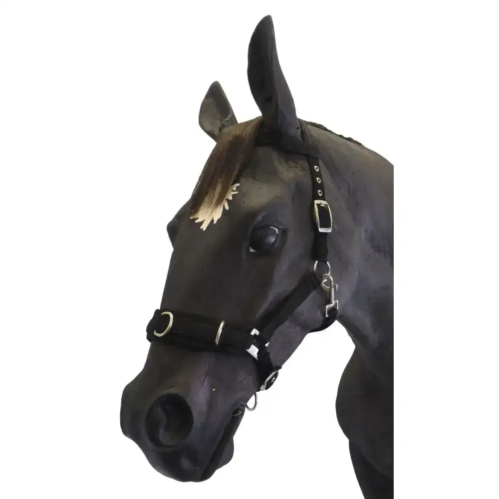 Black horse wearing a black leather lunge cavesson with soft webbing and gold feather decoration on the forehead