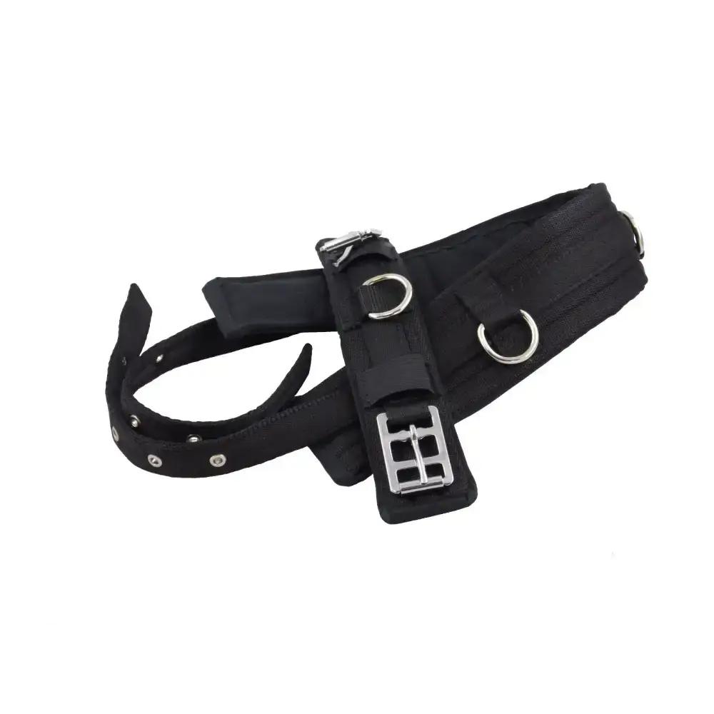 Lunging Training Roller Mini 