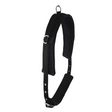 Lunging Training Roller Mini 