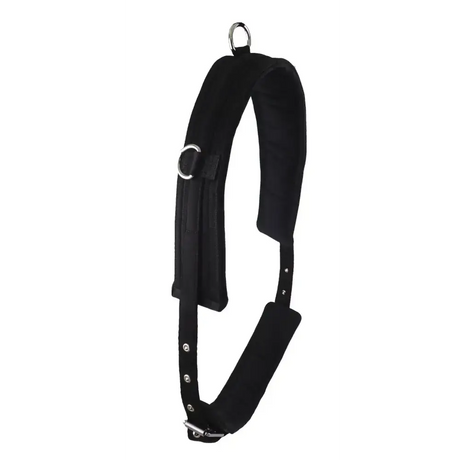 Lunging Training Roller Mini 