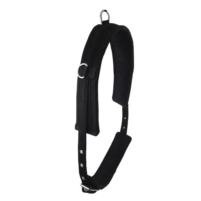 Lunging Training Roller Mini 