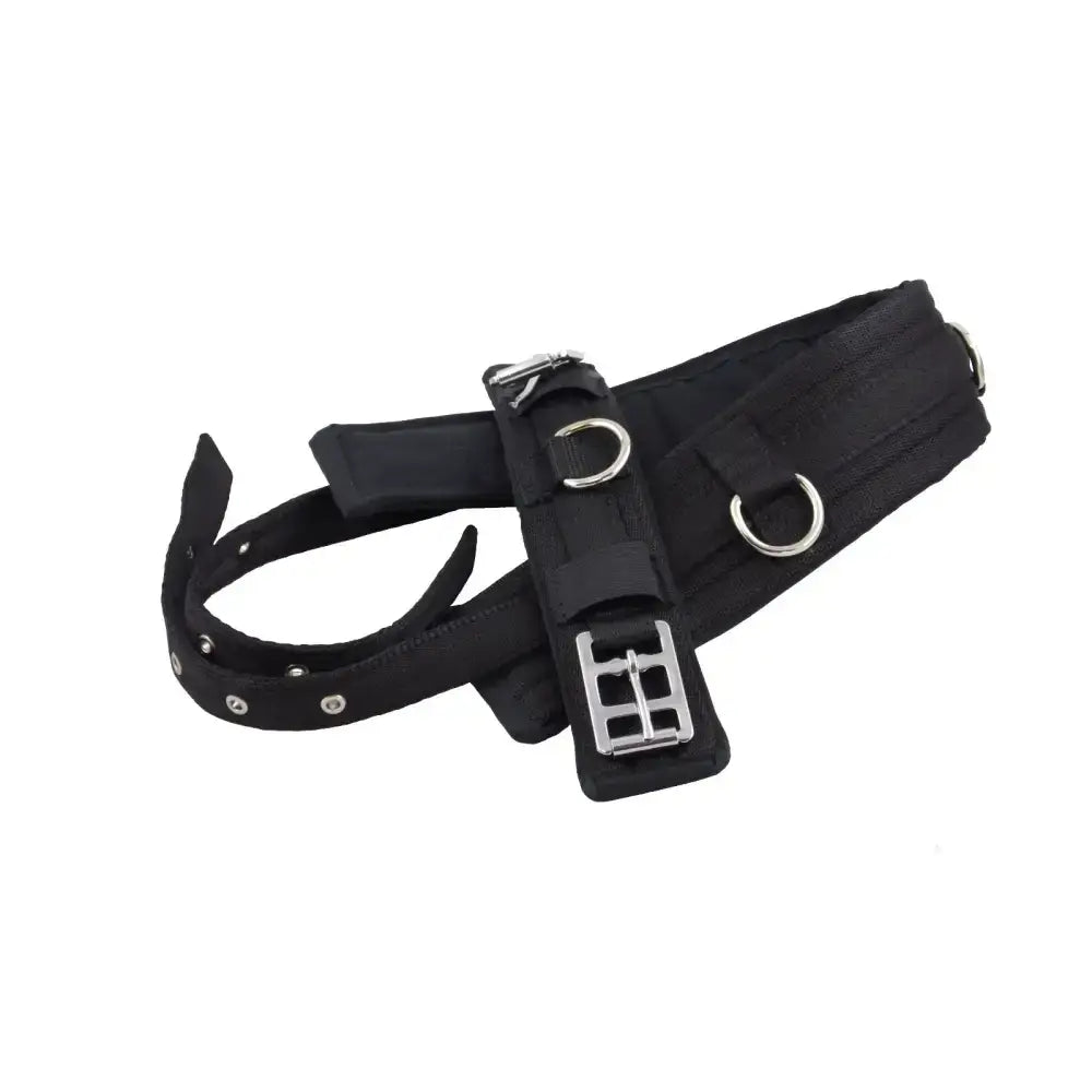 Black leather lunging training roller with silver central dee, soft webbing, and metal buckle for horse training