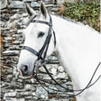 Black leather mackey classic double bridle with silver hardware carefully hand crafted from highest quality leather