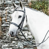Black leather mackey classic double bridle with silver hardware carefully hand crafted from highest quality leather