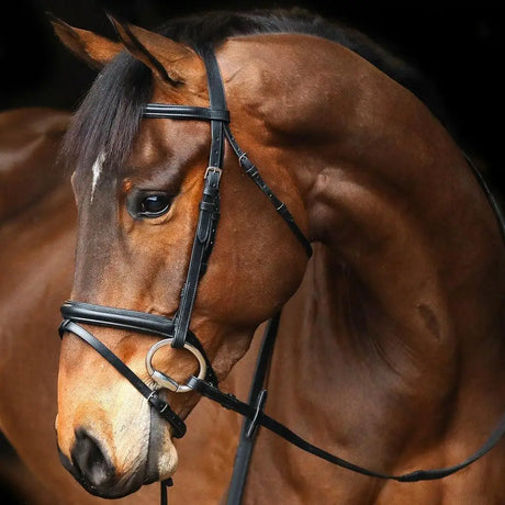 Black leather mackey classic flash bridle with highest quality leather and stainless steel fittings for horses