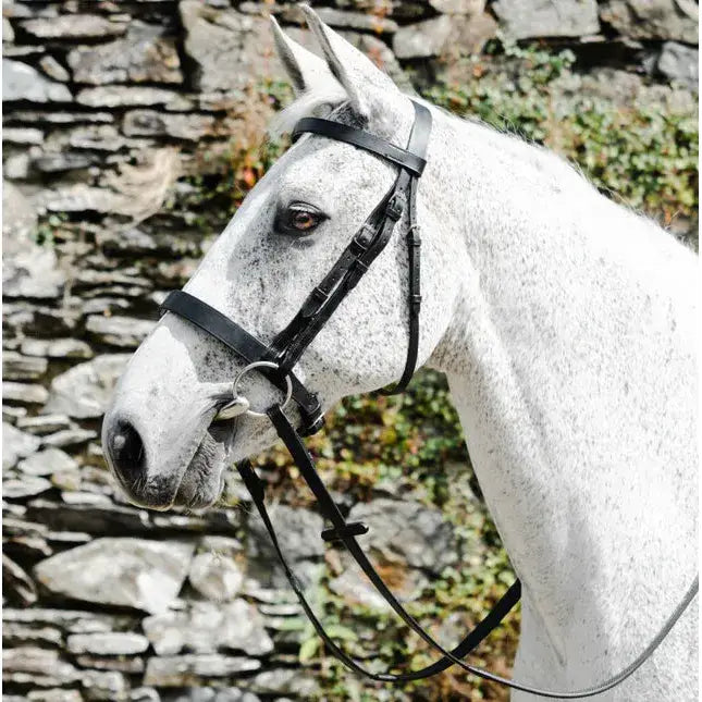 Black leather mackey classic hunt bridle with stainless steel hardware perfect for classic hunt riding